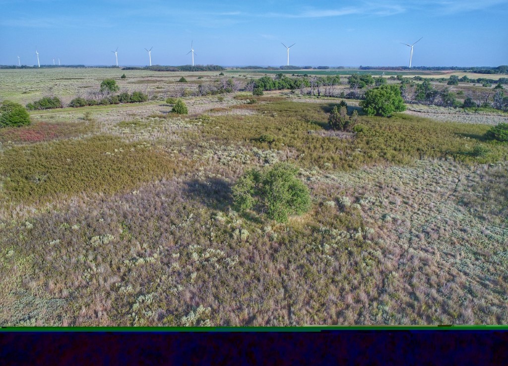 116 acres in Wilbarger County