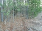 9 acres in Red River County