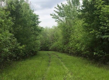 244 acres in Red River County