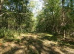125 acres in Red River County