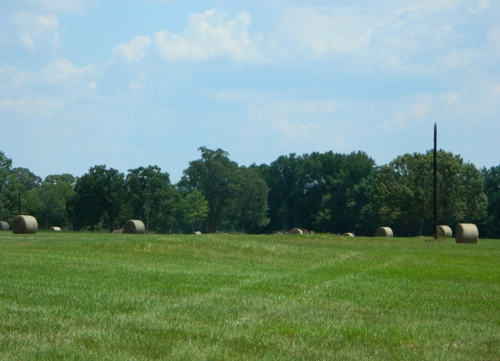204 acres in Red River County