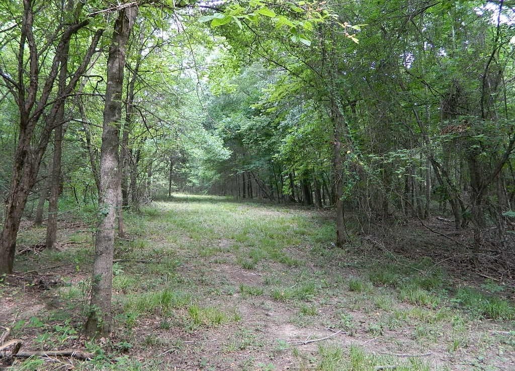 203 acres in Red River County