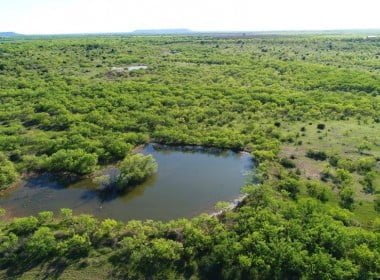 313 acres in Taylor County