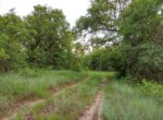 165 acres in Montague County
