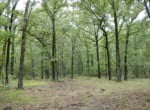 137 acres in Bowie County