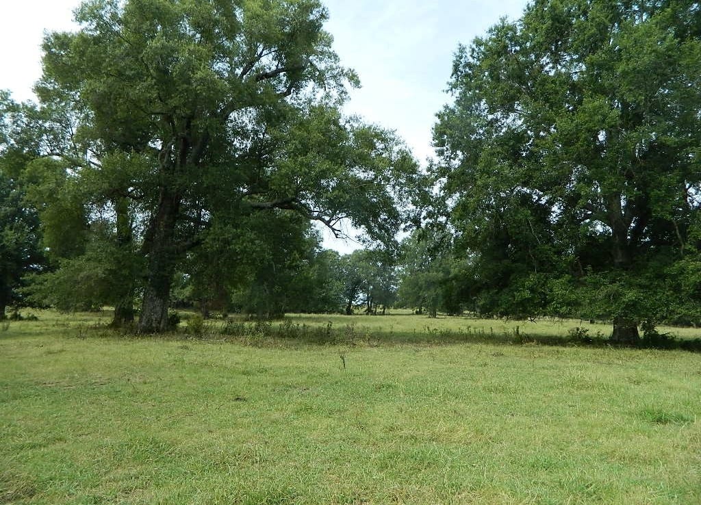 203 acres in Red River County