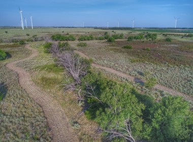 116 acres in Wilbarger County
