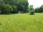 9 acres in Titus County