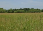 10 acres in Taylor County