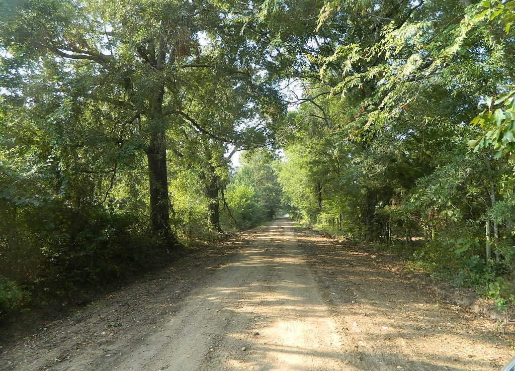 137 acres in Bowie County
