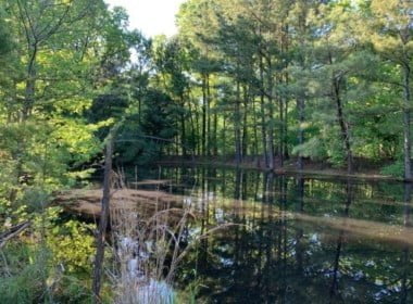 42 acres in Red River County