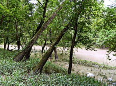 72.1 acres in Red River County