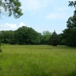 9 acres in Titus County