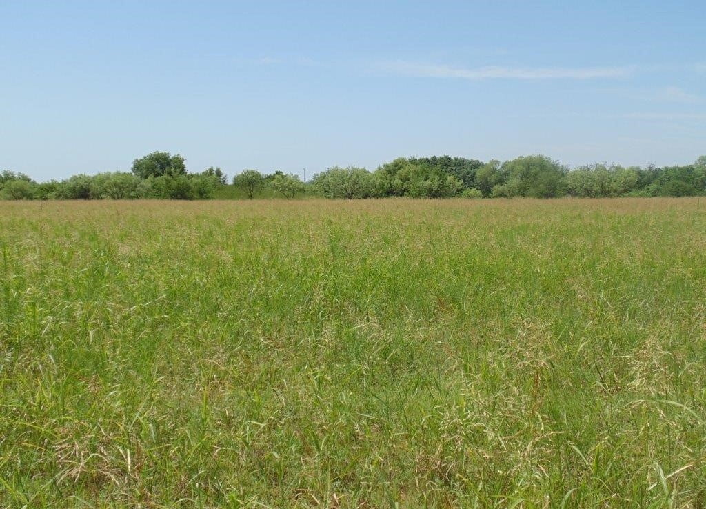 10 acres in Taylor County
