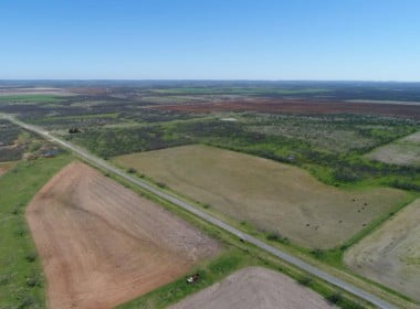 150 acres in Taylor County
