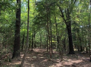 4 acres in Red River County