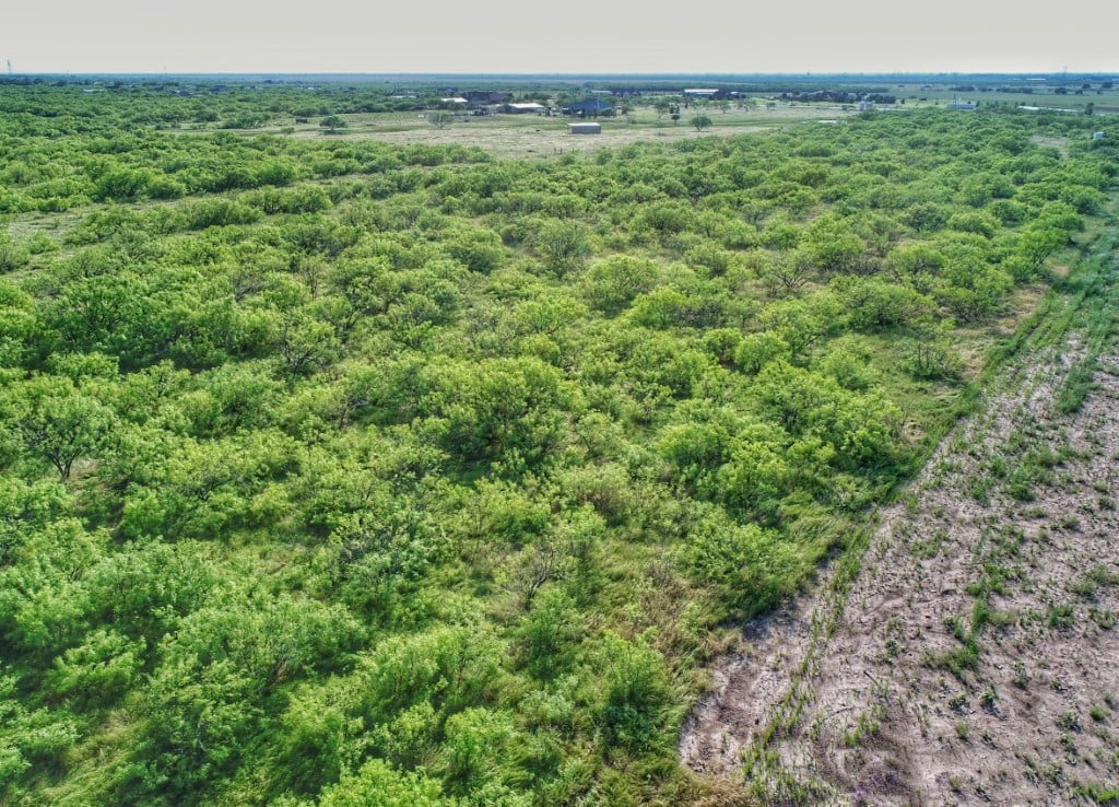 23 acres in Archer County