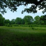 13 acres in Titus County