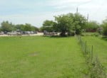Two Residential Lots in Taylor County