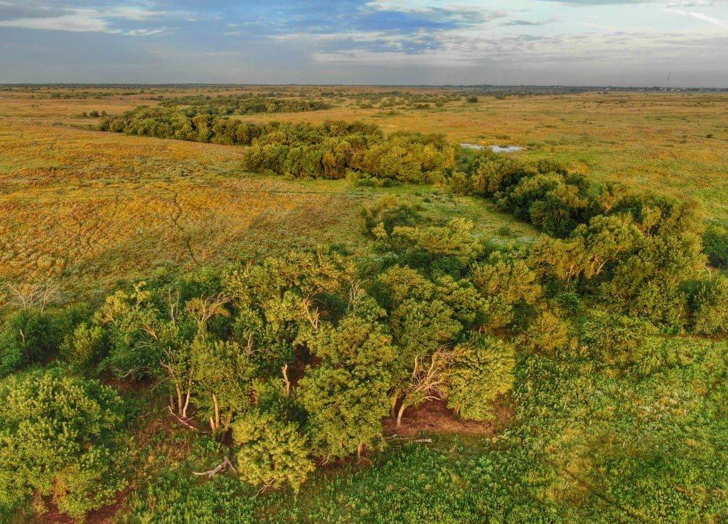 1,301 acres in Clay County