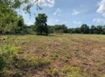 22.5 acres in Red River County