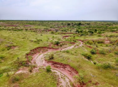 210 acres in Wichita County