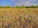 640 acres in Callahan County
