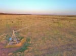 1,614 acres in Wilbarger County