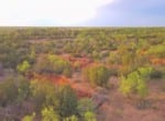 152 acres in Knox County