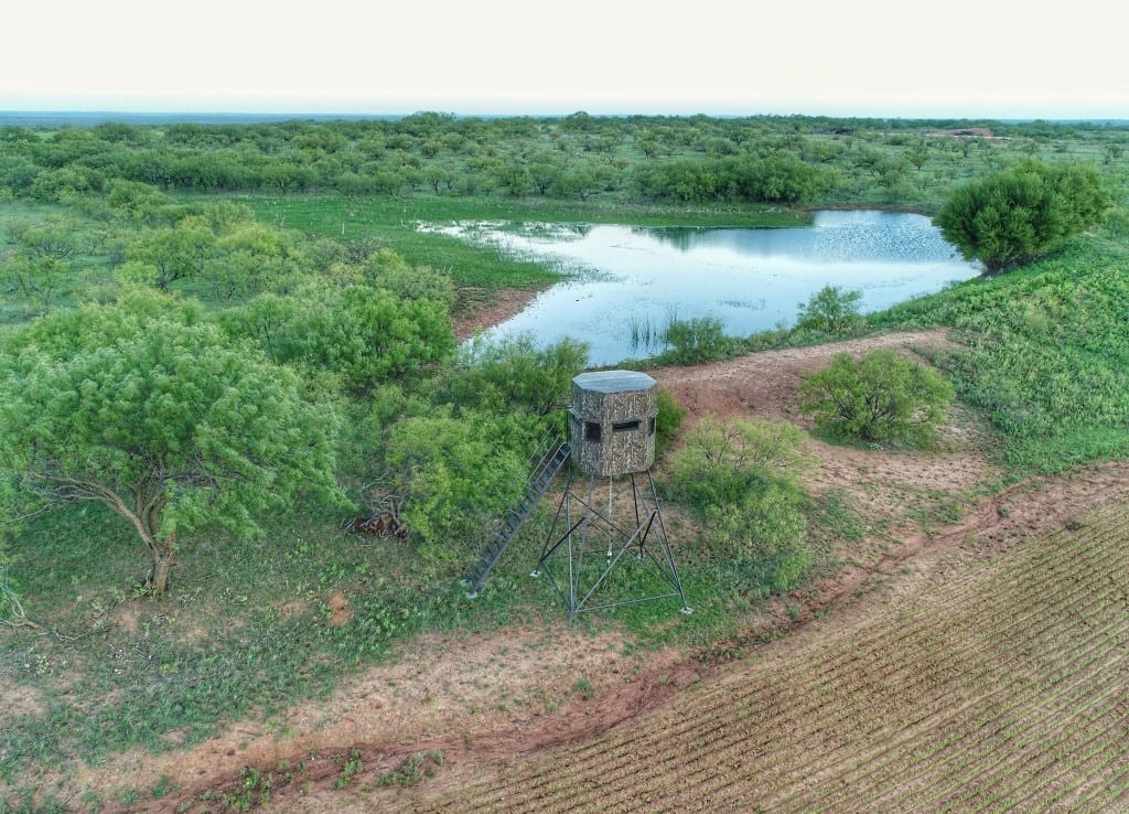 175 acres in Baylor County