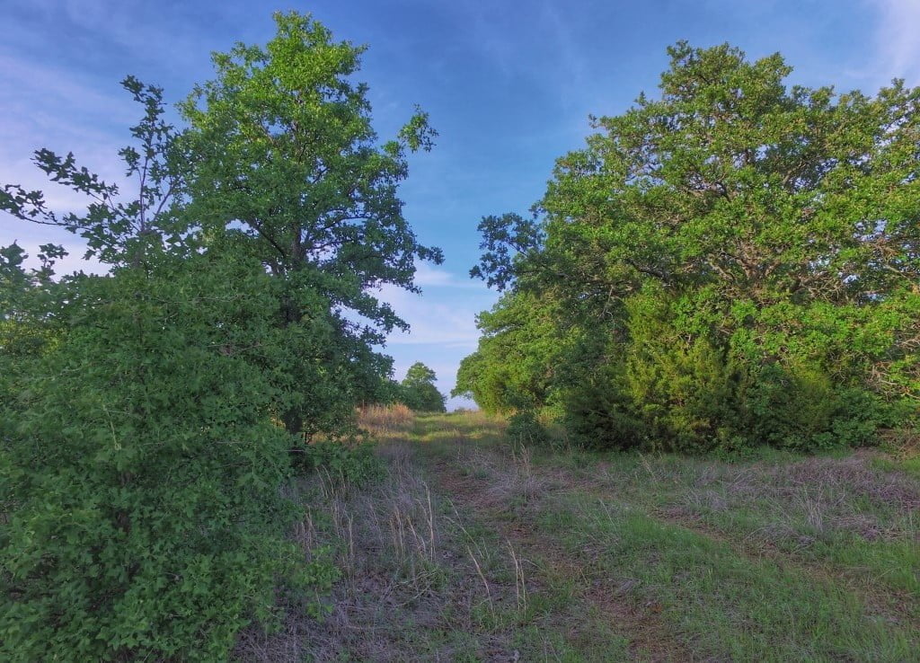 36 acres in Montague County