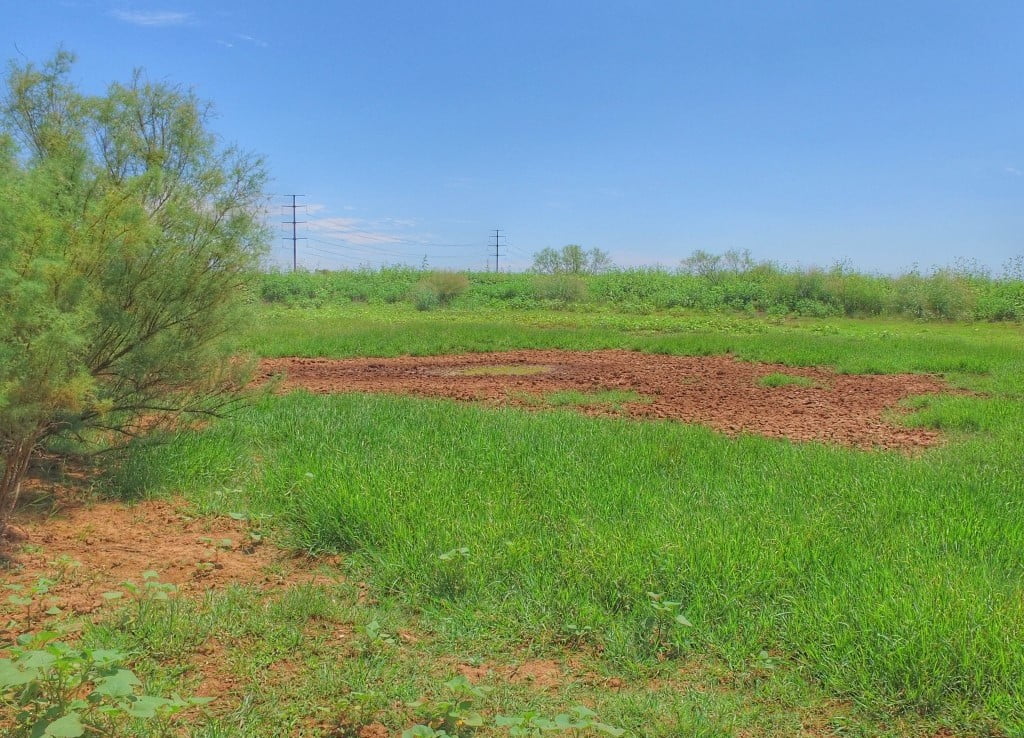 145 acres in Wilbarger County