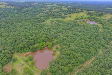 149 acres in Montague County