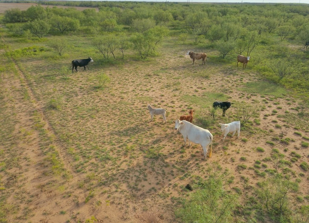 640 acres in Wilbarger County