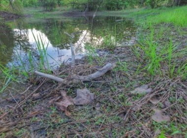 25 acres in Montague County