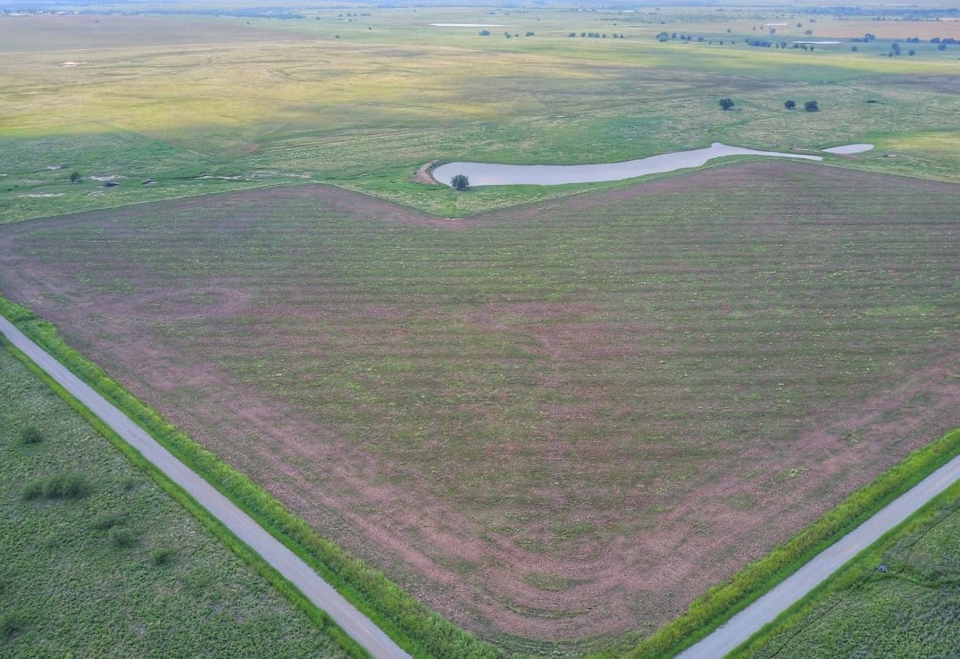 1,159 acres in Clay County