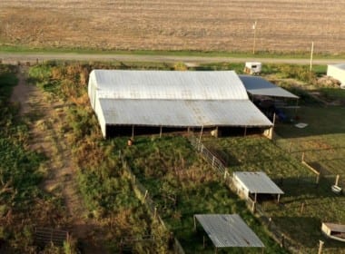 114 acres in Wichita County