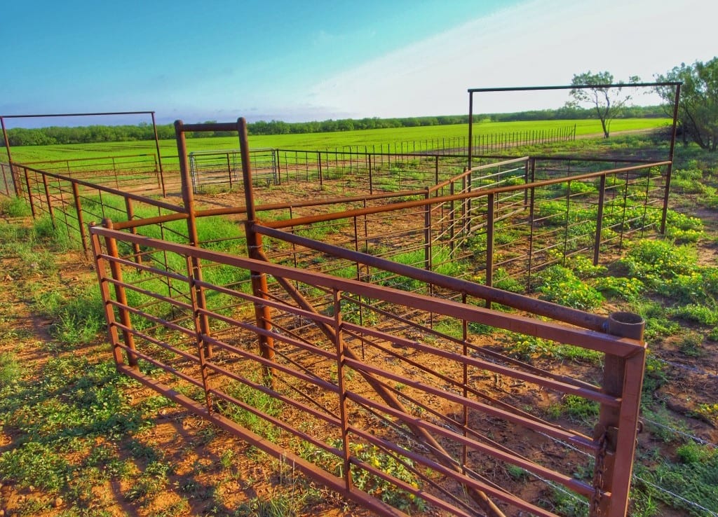 175 acres in Baylor County