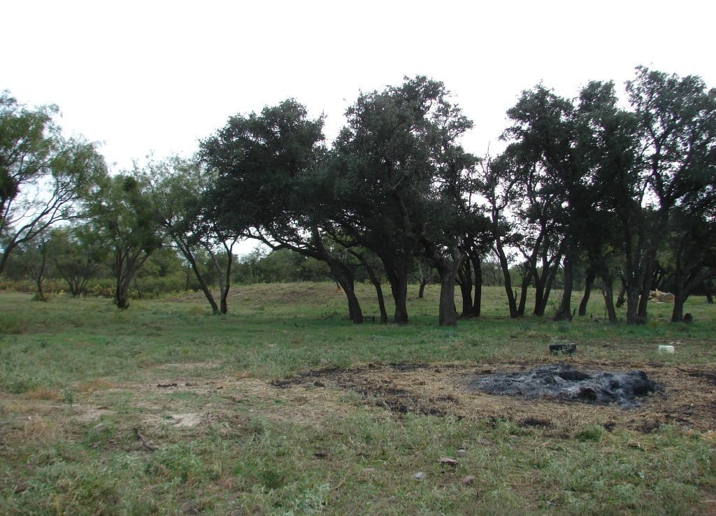 41 acres in Callahan County