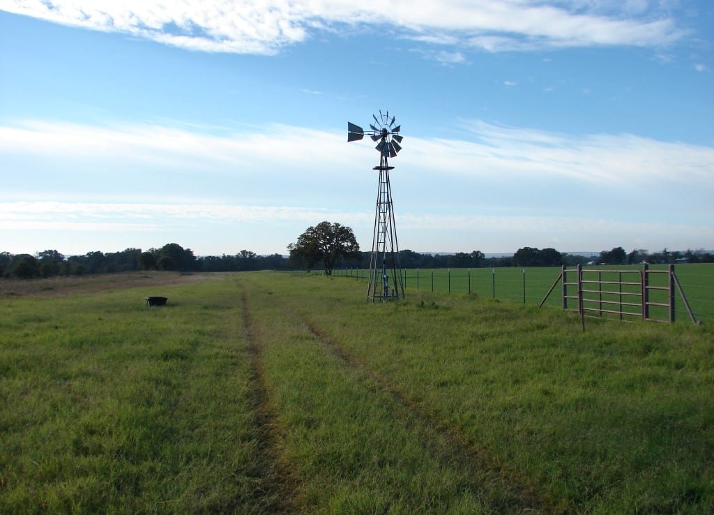 234 acres in Callahan County