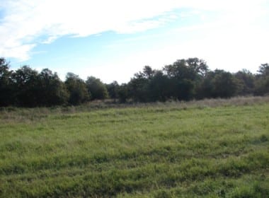234 acres in Callahan County