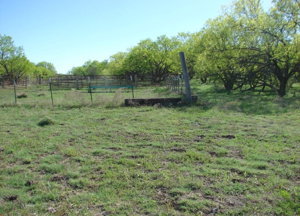 198 acres in Eastland County