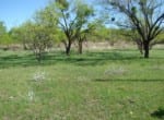 198 acres in Eastland County