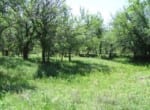 379 acres in Haskell County