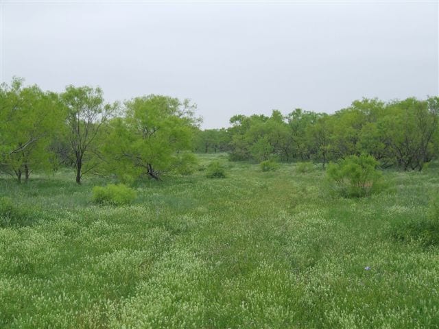 207 acres in Archer County