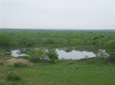 207 acres in Archer County