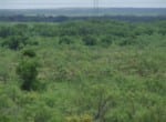 440 acres in Wilbarger County