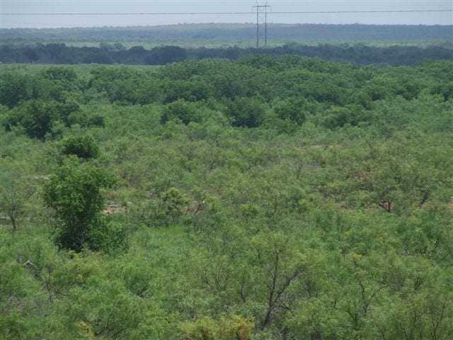 440 acres in Wilbarger County
