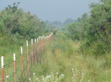 75 acres in Wilbarger County