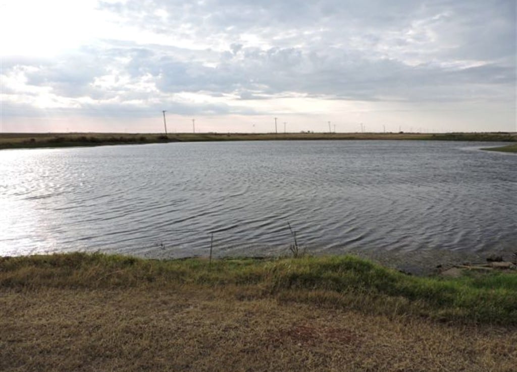1,210 acres in Wilbarger/Wichita County